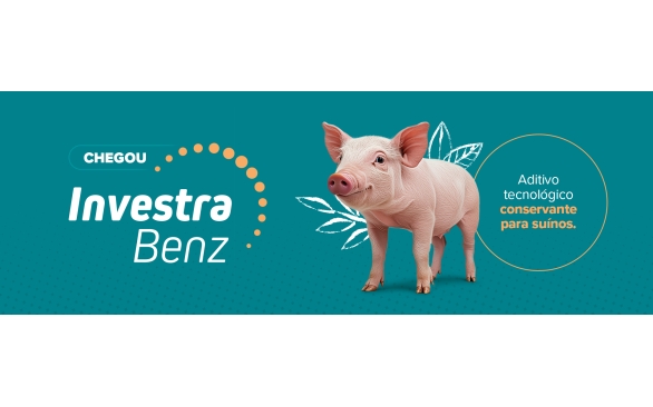 Salmonella: o que é, tipos e como controlar