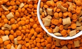 TECHNOLOGICAL ADDITIVES