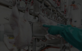Refrigerated Warehouses