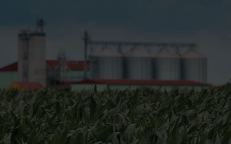 Agro Division